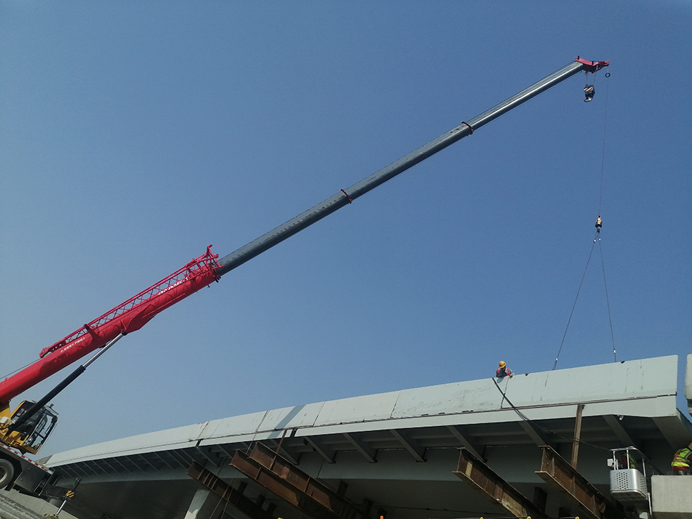 不负好春光  奋进正当时(图3)