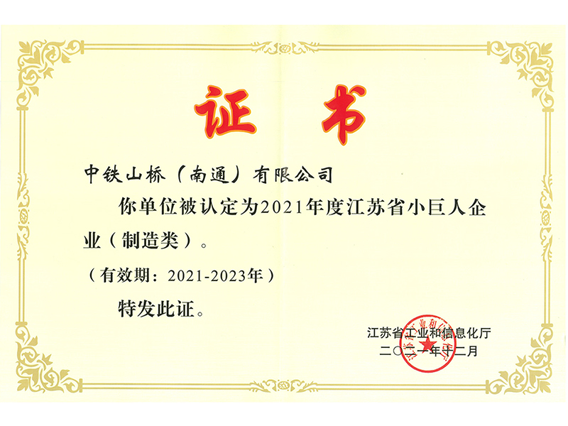 江苏省专精特新小巨人企业